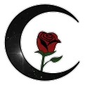 Night's Rose