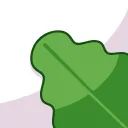 KASHIWA MOCHI