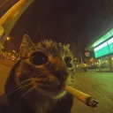 Heathens Discord Server Icon