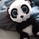 Panda Forest