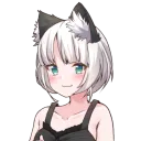 FluffyButtKitten's Server