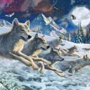 The BloodWolf Pack
