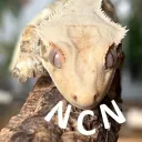 New Cal Nerds Discord Server Icon