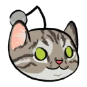 r/Cats
