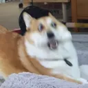 야 한겜 뜨자