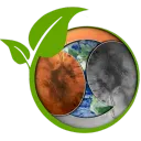 Elon Green Coin