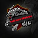 ☢BalkansWolves - DayZ☢