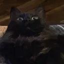 Bruh