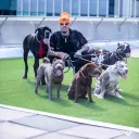 LaMelo Ball