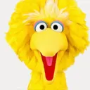THE RELIGION OF BIG BIRD