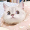 à¼’â˜¬ð“”ð“µð“®ð“¬ð“½ð“»ð“¸ð“ð“²ð“°ð“±ð“½â˜¬à¼’ Server Icon