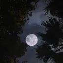 Conta grátis discord icon