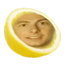 The Lemon Tree 🌳🍋