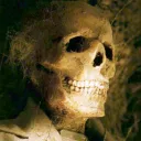 literal skeletons