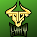 ToroGuild 🎮
