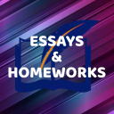 Essays and Homeworks Server Icon