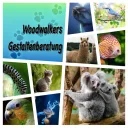 Woodwalkers: Gestaltenberatung