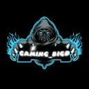 Gaming-BigD discord icon