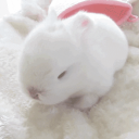 ʚ𝐟𝐥𝐨𝐫𝐞𝐭 𝐂𝐨𝐫𝐧𝐞𝐫ɞ