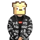 The Nugget Server