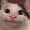BeluGANG avatar