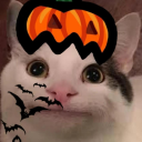 Discovery icon for BeluGANG Discord server