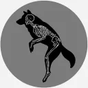 OtherCwinge Discord