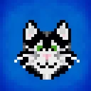 Catsky AI