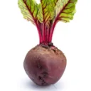beetcord revival