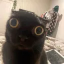dead ¹⁸⁺