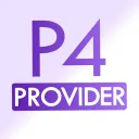 P4 Provider