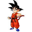 MR GOKU
