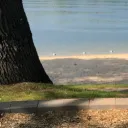 odd