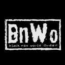 BnWo Server Of Savage BBC