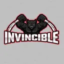 ↬ Team Invincible