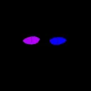 Mr_cat_poggers official discod