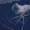 Virw's Spooky Sea