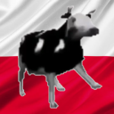 Discovery icon for Polish Community | PL/EN Discord server