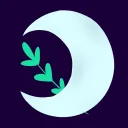 Moons & Stars