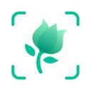 PictureThis Discord Server Icon