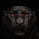 BlackHC666's community