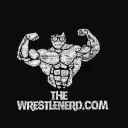 THEWRESTLENERD.COM's icon