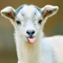 Kimmmyy’s Server