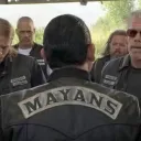 『M.Y.Sᵇᵖᵛ』 MAYANS