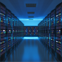 The Server