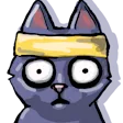 Koty ninja