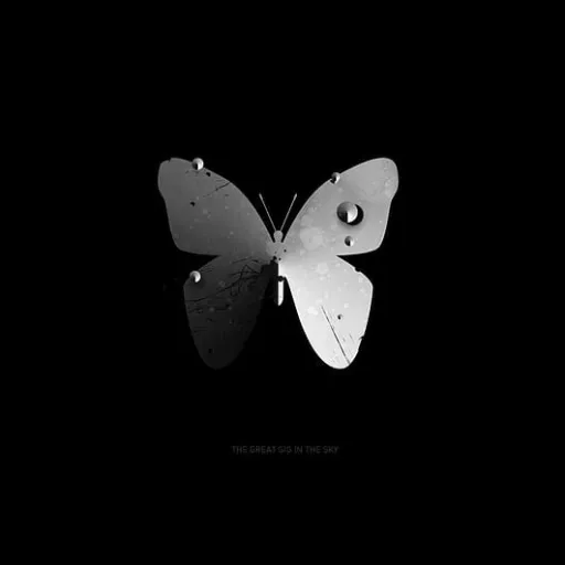 Asphyxia — мониторинг Discord сервера, статистика и рейтинг