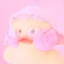 ✦₊˚ʚ🦢ɞ┊Sෆft Ducky₊˚﹆