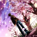 Cherry Blossom Village
