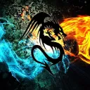 Saldrag YT
